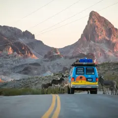 Podróż przez pustynię Route 66. Ile km jeszcze do celu? Osły przy drodze, góry w tle.