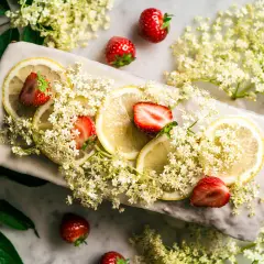 Zarte Holunderblüten, Zitronenscheiben und Erdbeeren zieren ein Gericht, das an einen sommerlichen Holunderkuchen erinnert.
