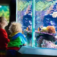 Dzieci zachwycone kolorowym światem podwodnym w oceanarium w Katowicach.
