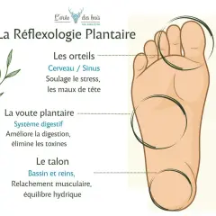 Découvrez comment soigner par les pieds grâce à la réflexologie. L'image montre un pied avec des zones indiquées pour les orteils, la voûte et le talon, associées à des bienfaits pour le corps.