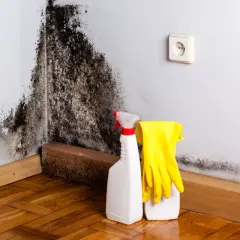 Angolo del bagno con estesa muffa nera. Accanto, prodotti per la pulizia e guanti gialli pronti all'uso.