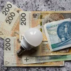 Gdzie złożyć oświadczenie o zamrożeniu cen prądu i uniknąć problemów?