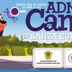 Es obligatorio censar al perro en el ayuntamiento y sus consecuencias