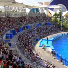 Las mejores atracciones en Valencia que no te puedes perder