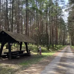 Wiatka z ławkami i stołem w lesie, obok rower i dziecko. Idealne miejsce na odpoczynek podczas jazdy po **lasy janowskie trasy rowerowe**.
