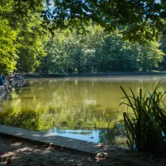 Journée paisible à l'étang de Meudon, où des pêcheurs profitent du calme au bord de l'eau, entourés de verdure luxuriante.
