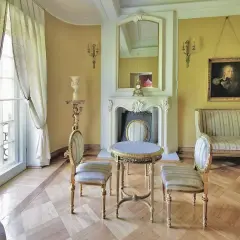 Elegancki salon w stylu pałacowym z kanapą, dwoma krzesłami, stolikiem i kominkiem.