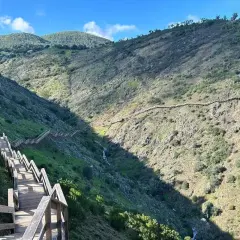 Senderismo Algarve: escaleras de madera descienden por un barranco verde y rocoso, con un sendero serpenteante en la ladera opuesta.