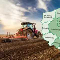 Jak oszacować wartość działki: uniknij błędów przy wycenie gruntu