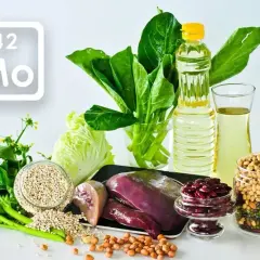 Tabela pierwiastków z symbolem Mo (molibden) obok produktów bogatych w ten pierwiastek: wątróbka, fasola, soja, zboża, warzywa liściaste i olej.