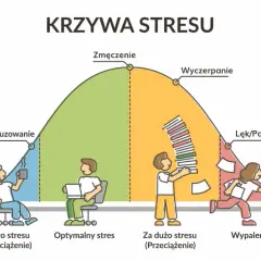 Krzywa stresu pokazuje, jak rozładować stres u nastolatków. Od niedociążenia, przez optymalny stres, po przeciążenie i wypalenie.