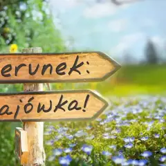 Drewniany drogowskaz "Kierunek: Majówka!" na tle kwitnącej łąki i latającego motyla. Idealny na majówkę 2026!