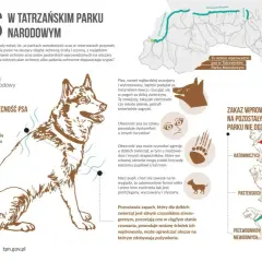 Pies w Tatrzańskim Parku Narodowym - zasady wprowadzania psów, zagrożenia dla dzikiej fauny i turystów. Wyjątki: psy ratownicze, pasterskie i przewodnicy niewidomych.