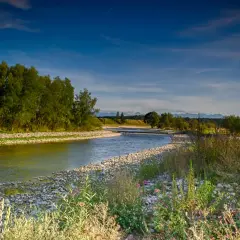 Czarny Dunajec: Atrakcje, torfowiska i idealna baza na Podhalu