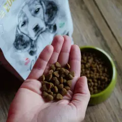 Dłoń trzymająca karmę dla szczeniąt, obok miska i opakowanie karmy z psem.