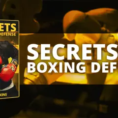 Book cover and graphic promoting "Secrets to Boxing Defense," featuring a boxer in red gloves and the title. Learn essential boxing defense tips.