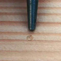 Ein Metallstift markiert eine Stelle auf Holz, bereit zum schamottstein bohren.