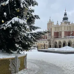 Świąteczna choinka na Rynku Głównym w Krakowie, zimą. W tle Sukiennice. Piękne kraków atrakcje zimą.