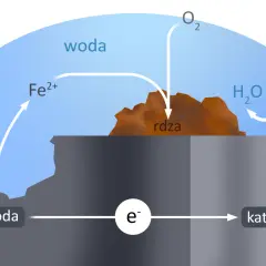 Schemat korozji elektrochemicznej: żelazo (anoda) reaguje z wodą i tlenem, tworząc rdzę. Przykłady tego procesu są powszechne.