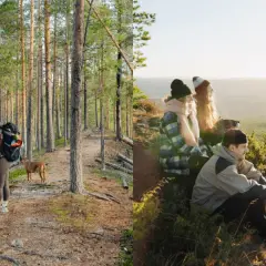 Vandrare med hund i skogen nära Umeå. Vänner njuter av utsikten över landskapet. Umeå natur i sin vackraste form.
