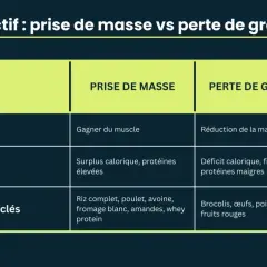Tableau comparant la prise de masse musculaire rapide (surplus calorique, protéines élevées, riz, poulet) et la perte de graisse (déficit calorique, brocolis, poisson).