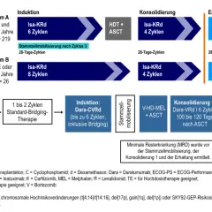Schema zeigt Behandlungswege für multiples Myelom. Mit neuen Therapien könnte multiples Myelom bald heilbar sein.