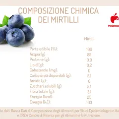 Mirtilli freschi e foglie verdi, con tabella nutrizionale che evidenzia i mirtilli benefici per la salute.