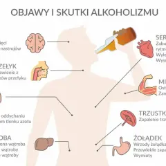 Alkohol niszczy mózg, serce, płuca, wątrobę, żołądek i mięśnie. Ilustracja pokazuje objawy i skutki alkoholizmu.