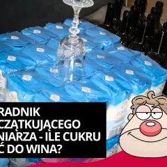 Ile cukru na 5l wina? Oblicz idealną ilość dla mocnego trunku