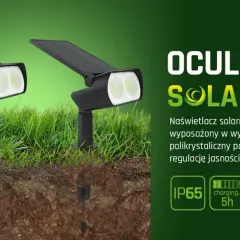 Lampy ogrodowe solarne czy elektryczne - co wybrać, aby zaoszczędzić?