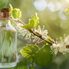 Hydrolat oczar wirginijski - Jakie są korzyści z jego stosowania?
