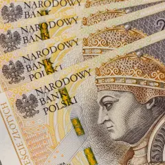 Złotówki z wizerunkiem Zygmunta Starego. Może to być zaliczkowa emerytura z powodu OFE.