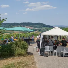 Live-Musik im Weinberg: Eine Band spielt unter einem Zelt, während Gäste im Schatten von Sonnenschirmen sitzen. Ein perfekter Tag für querfeldwein in Erlenbach.