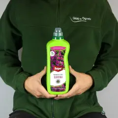 Osoba w zielonej bluzie trzyma butelkę nawozu do surfinii. Zapewnij swoim roślinom obfite kwitnienie!