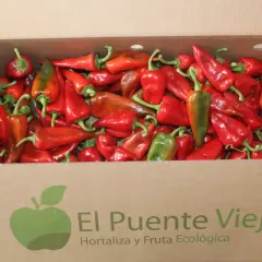 Caja llena de pimientos del piquillo rojos y verdes, listos para ser disfrutados.