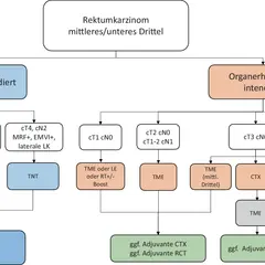 Flussdiagramm zu Rektumkarzinom Stadien: Organerhalt intendiert vs. nicht intendiert, mit Therapieoptionen je nach Tumorstadium (cT/cN).