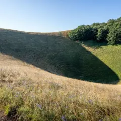 Sentiero sul Monte Subasio, tra erba dorata e un'ombra profonda che invita a scoprire cosa vedere in questo paesaggio naturale.