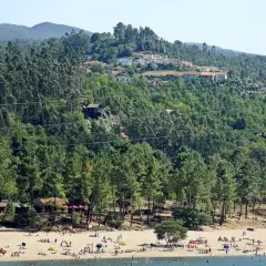 Playa con gente disfrutando del sol y el agua, rodeada de pinos y casas en la ladera. Para saber gondomar como llegar, busca esta idílica estampa.