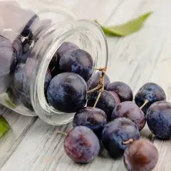 Frische Pflaumen rollen aus einem Glas. Sie sind reich an Antioxidantien, die die resveratrol wirkung unterstützen können.