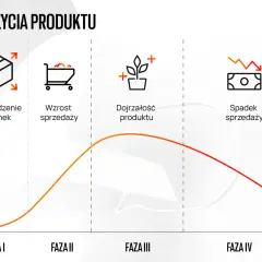 Wykres cyklu życia produktu: wprowadzenie, wzrost sprzedaży, dojrzałość i spadek. Ilustruje teorię cyklu życia produktu.