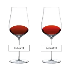 Vier Gläser zeigen die **Wein**-**Farbe** von Purpurrot bis Braunrot.