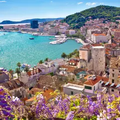 Widok na Split z kwitnącym fioletowym kwieciem w pierwszym planie, turkusowe morze i zabytkowe budynki.