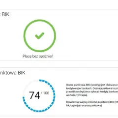 Jak sprawdzić BIK i uniknąć błędów w swojej historii kredytowej