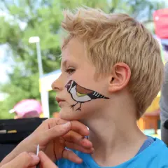 Ein Junge mit einem Vogel im Gesicht, der im Rahmen von "Vogel schminken Kinder" bemalt wird.