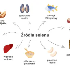 Odkryj, jak ważne są selen właściwości! Na grafice źródła selenu: orzechy brazylijskie, małże, tuńczyk, sardynki, stek, wątroba, ryż, fasola i chleb pełnoziarnisty.