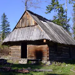 Drewniana bacówka w górach, otoczona drzewami, pod błękitnym niebem.