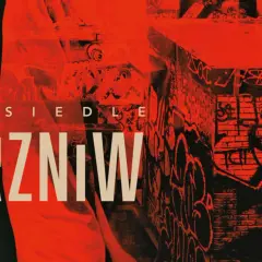 Osiedle RZNiW - co to znaczy i jakie ma znaczenie w literaturze?