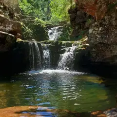 Cascada en un bosque frondoso, con rocas cubiertas de musgo y un estanque de aguas cristalinas. Un lugar idílico, como un **puente ra** natural hacia la serenidad.