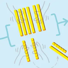 Ilustración de sumas con llevadas para 2 primaria. Bloques amarillos representan decenas y unidades.