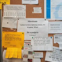Ogłoszenia na tablicy korkowej: wynajem mieszkań i pokoi, jak sprawdzić właściciela mieszkania, sprzedam.